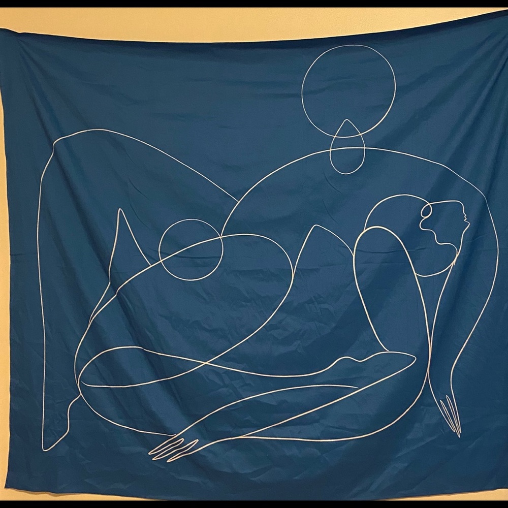 Tapestries (wall hangings)